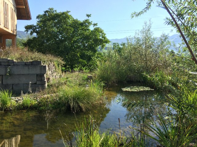 Wildbienengarten